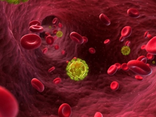L’espoir des scientifiques danois pour la guérison du VIH