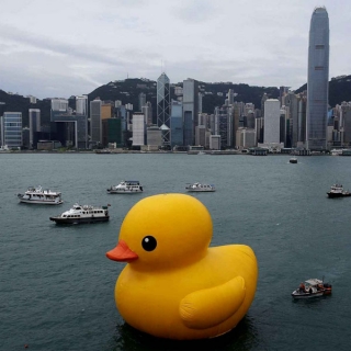 Hong-Kong : un canard géant fait trempette dans le port